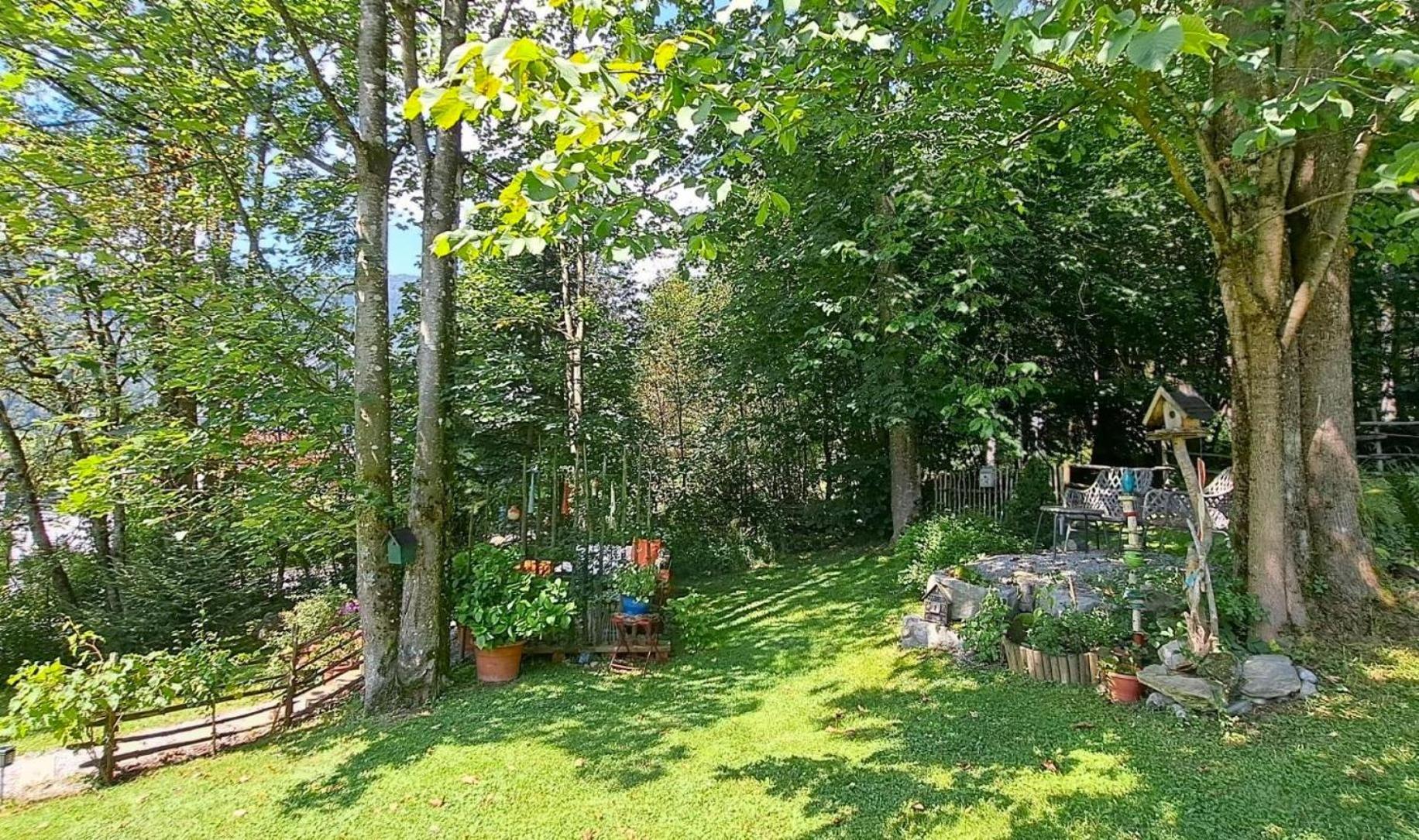 Ferienhaus Lechner Fuer Max 10 Personen - Wald Und Naturgarten Abtenau Dış mekan fotoğraf