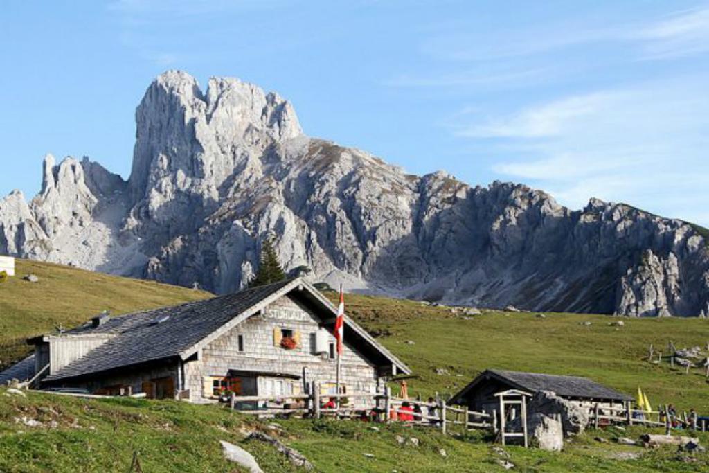 Ferienhaus Lechner Fuer Max 10 Personen - Wald Und Naturgarten Abtenau Dış mekan fotoğraf